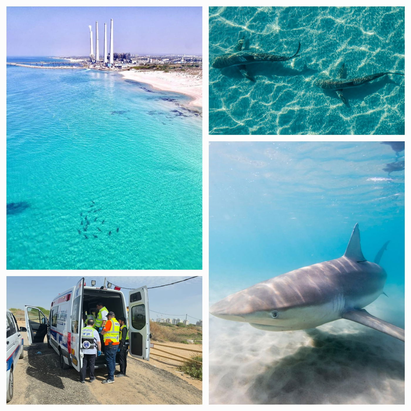 הכרישים בחדרה ופינוי שרידי ההרוג ע"י צוות זק"א בפיקוד דוד בירנבוים