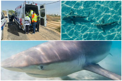 הכרישים בחדרה ופינוי שרידי ההרוג ע"י צוות זק"א בפיקוד דוד בירנבוים