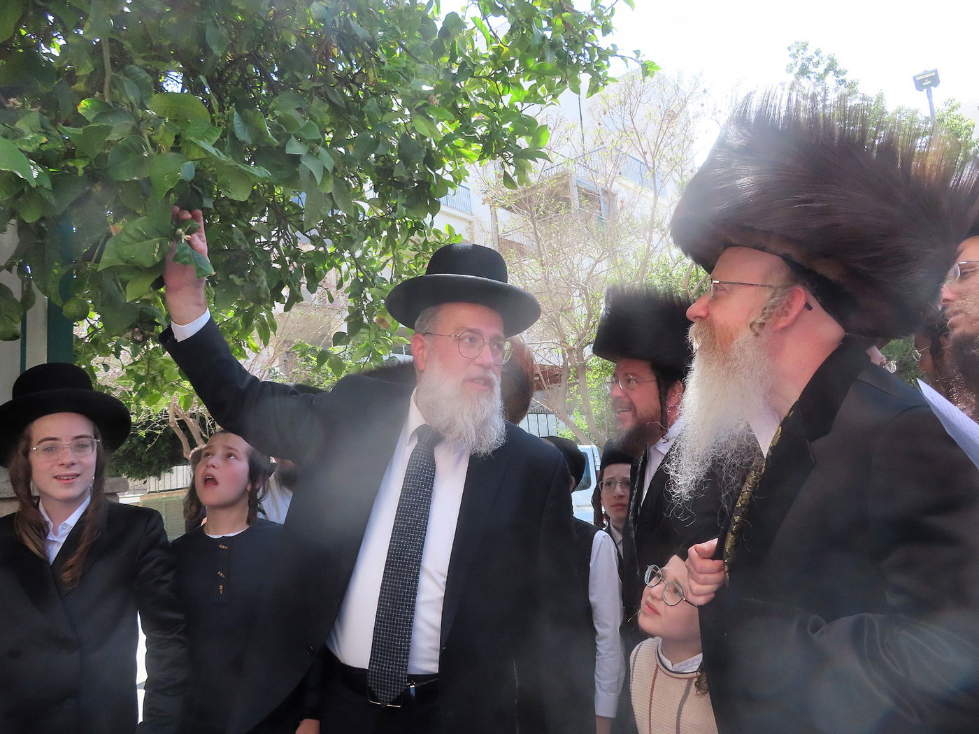 חג הפסח בחצה"ק קרעטשניף קריית גת 