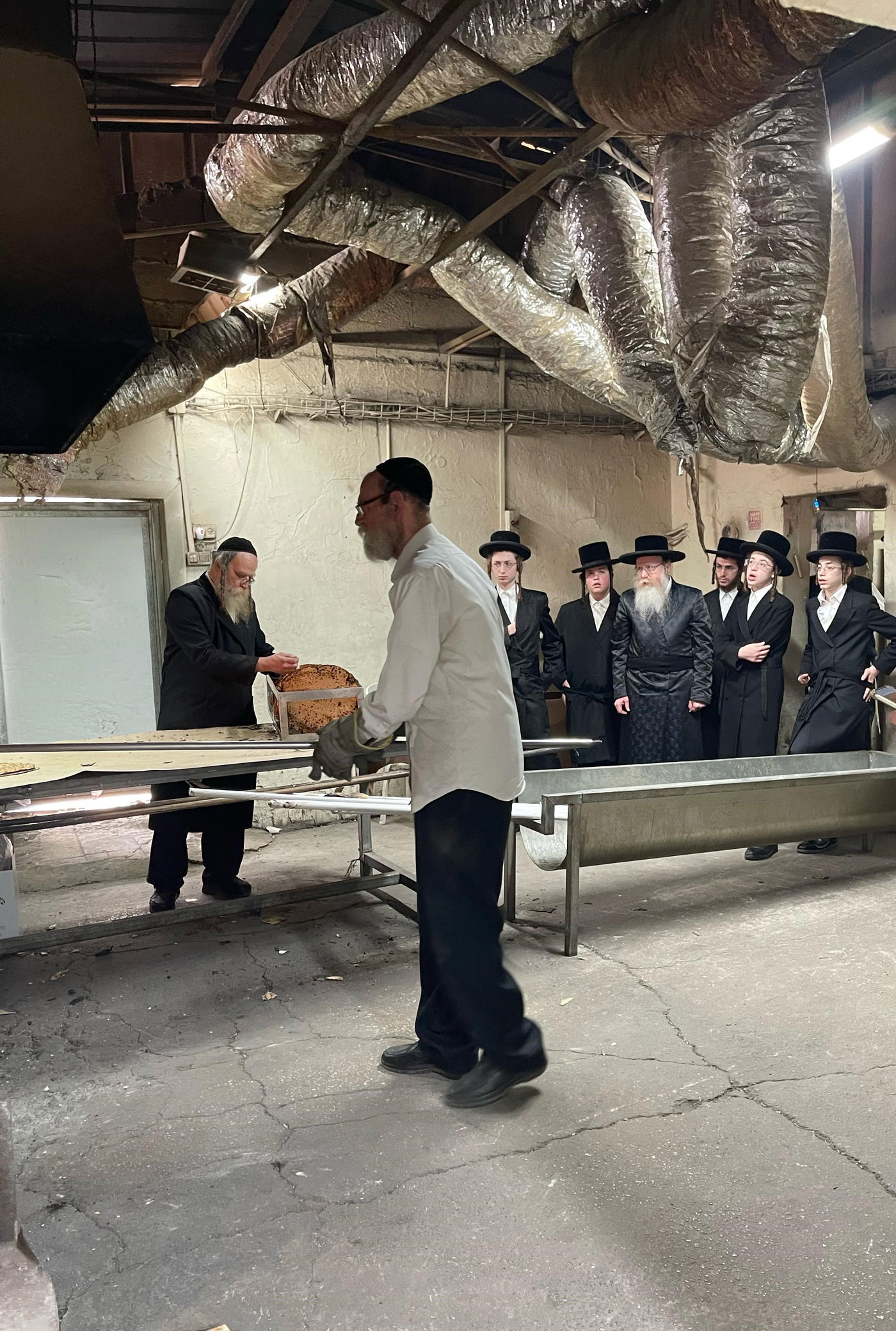 חג הפסח בחצה"ק קרעטשניף קריית גת 