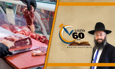 דיני קניית מוצרים בחנות שמוכרת בשר לא חלק • צפו 