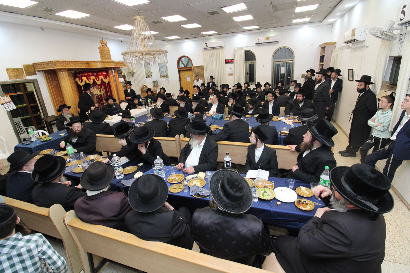 הילולא קדישא בצאנז זימגראד