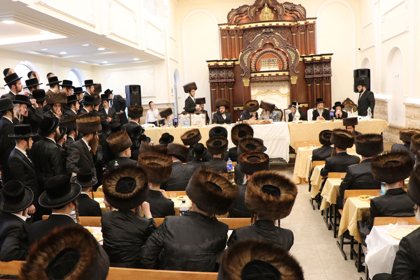 שמחת הפדיון הבן בחצרות זוויעהיל - נדבורנה אלעד