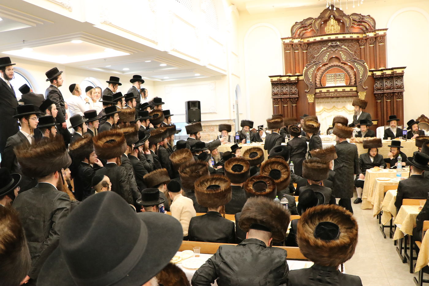 שמחת הפדיון הבן בחצרות זוויעהיל - נדבורנה אלעד