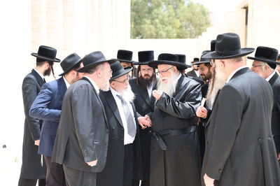 הגר"א סאלים בביקור אצל האדמו"ר מצאנז