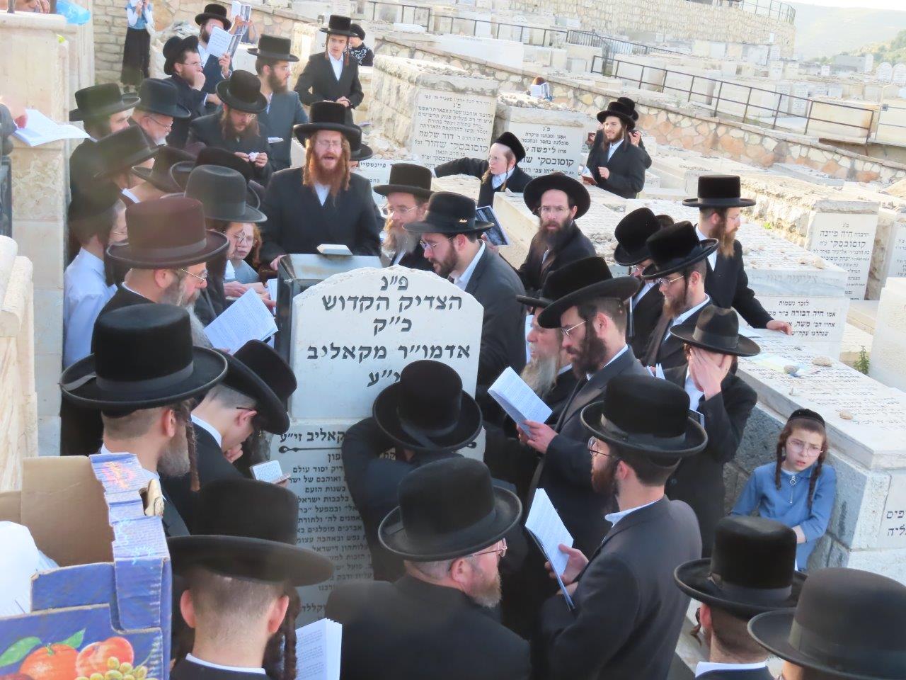 הילולא קדישא בקאליב