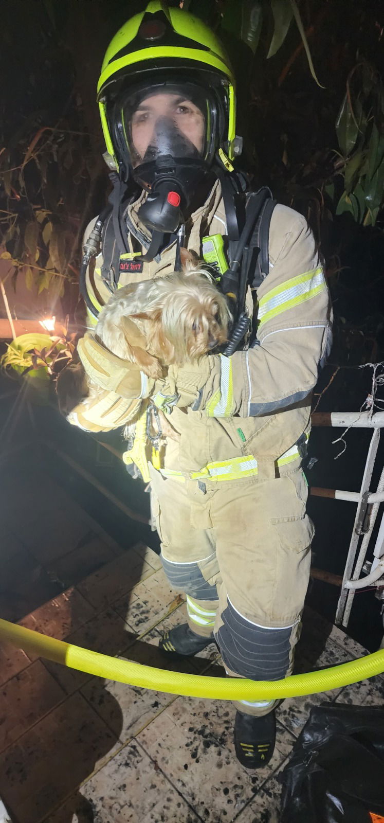 השריפה הלילה בחיפה