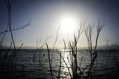 הכנרת בסוף השבוע