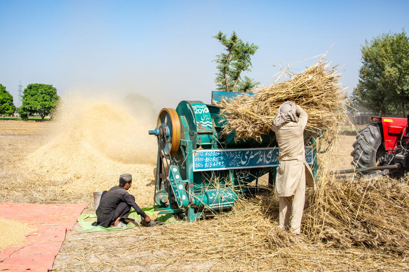 חקלאים פקיסטנים