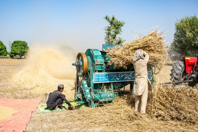 חקלאים פקיסטנים