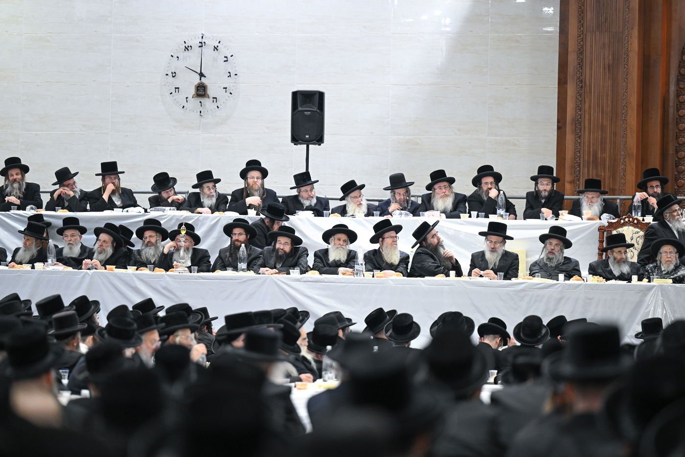 הילולא קדישא בצאנז