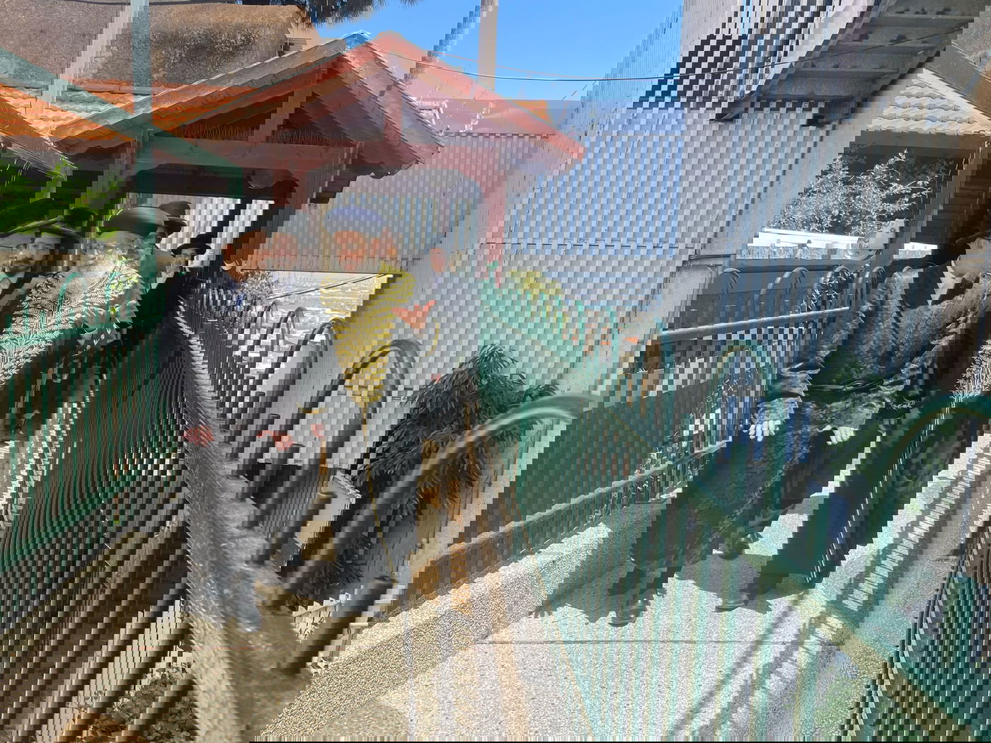 הראשל"צ הגאון רבי דוד יוסף בביקור אצל האדמו"ר מסערט ויז'ניץ