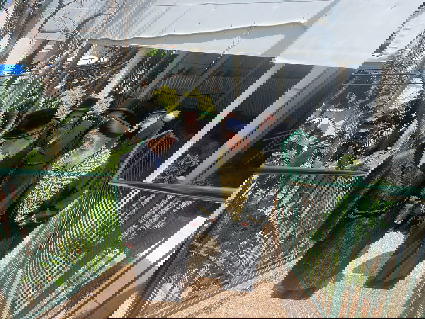 הראשל"צ הגאון רבי דוד יוסף בביקור אצל האדמו"ר מסערט ויז'ניץ