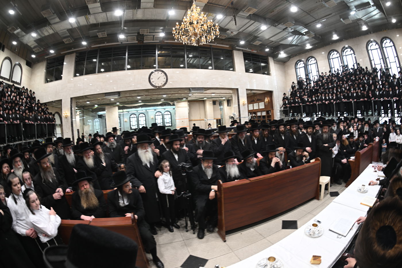 שמחת הברית לנין האדמו"ר מדארג