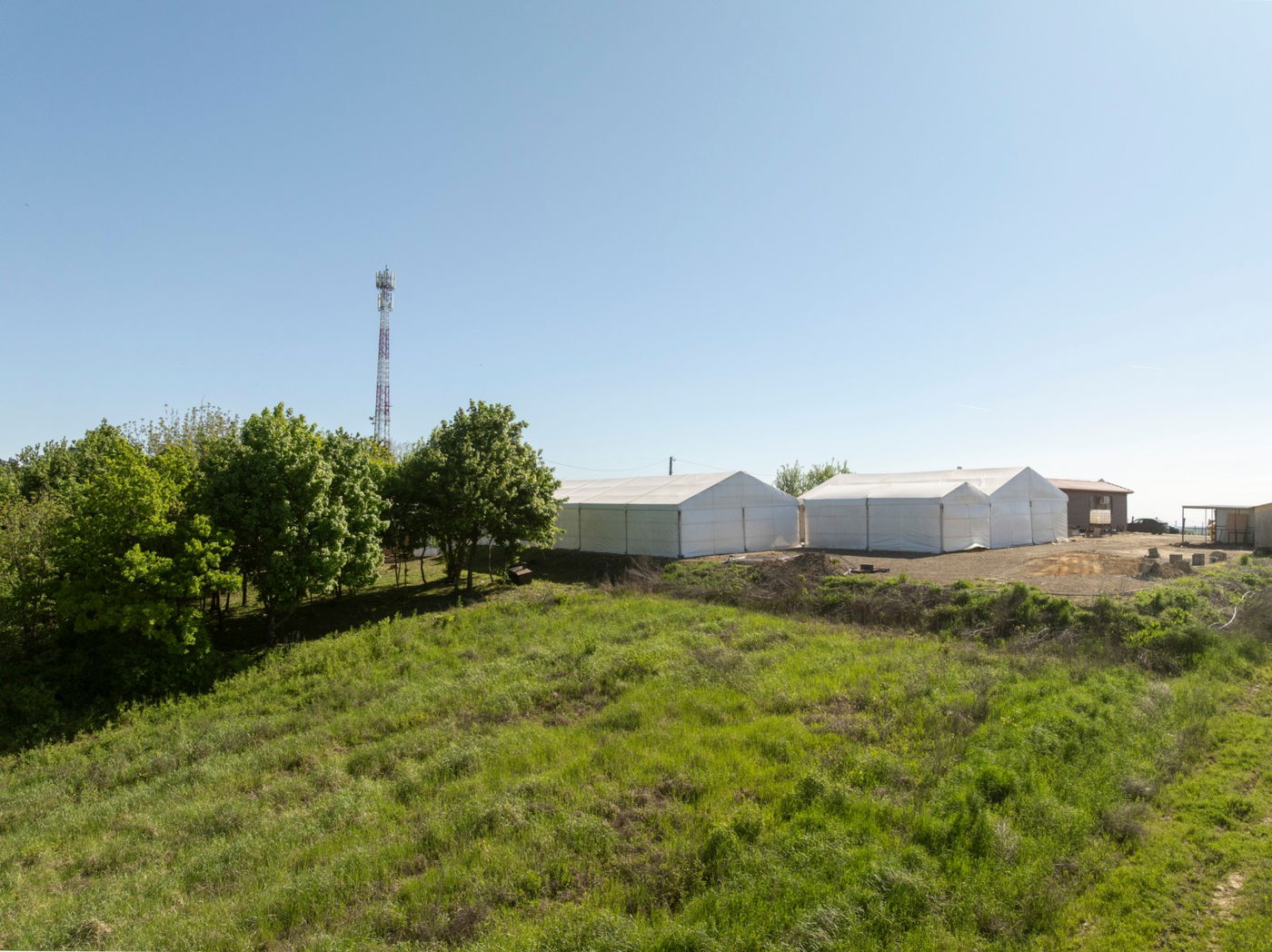 מראות ההכנות להילולא קדישא בקרעסטיר