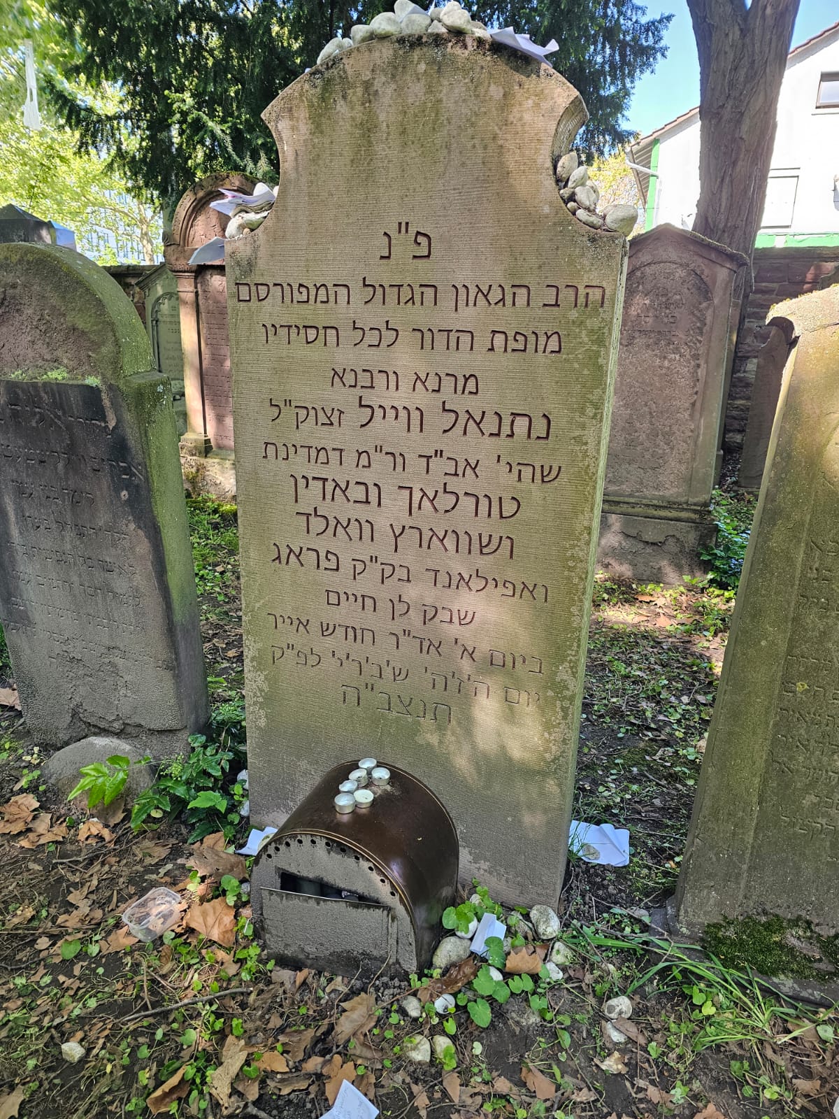 ההילולה של הקרבן נתנאל בגרמניה