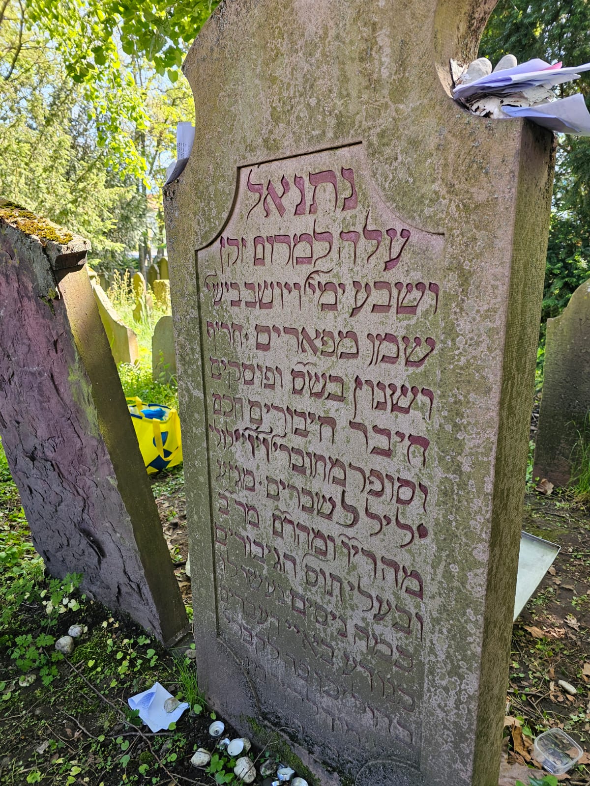 ההילולה של הקרבן נתנאל בגרמניה