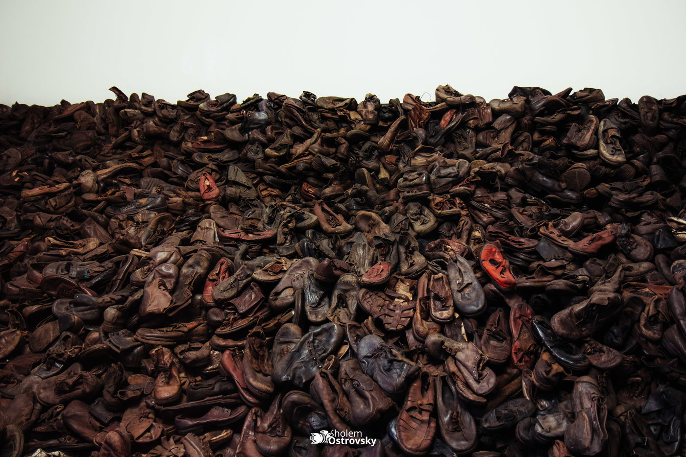 יום השואה באושוויץ