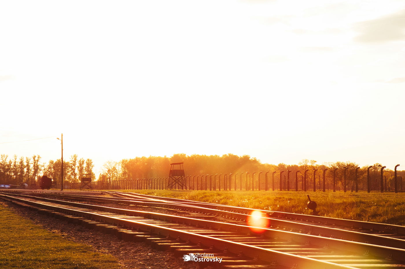 יום השואה באושוויץ