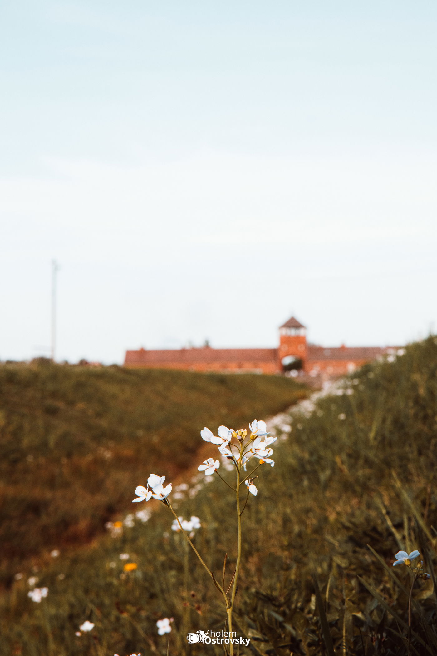 יום השואה באושוויץ