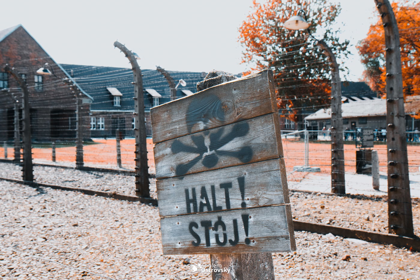 יום השואה באושוויץ