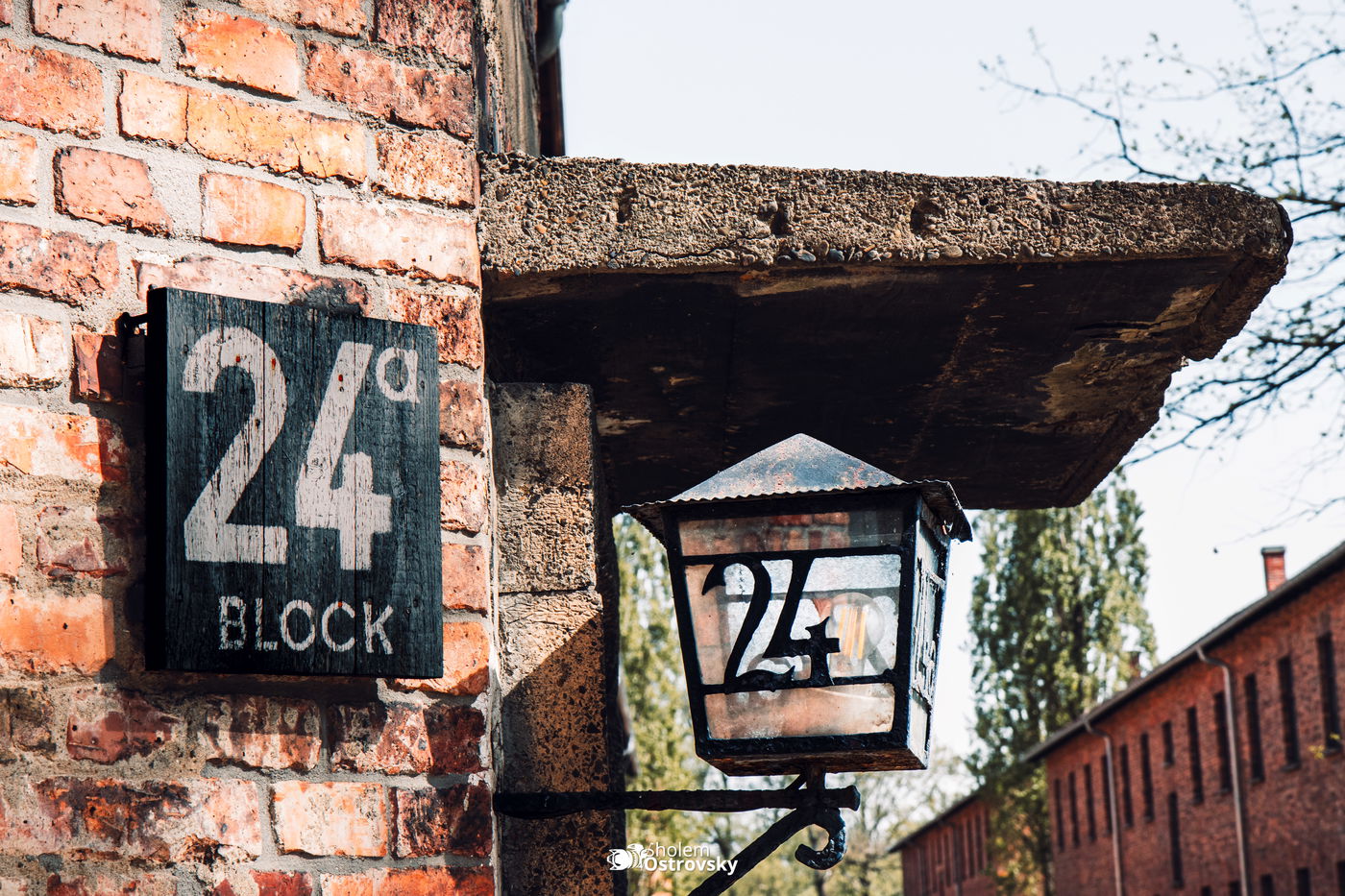 יום השואה באושוויץ