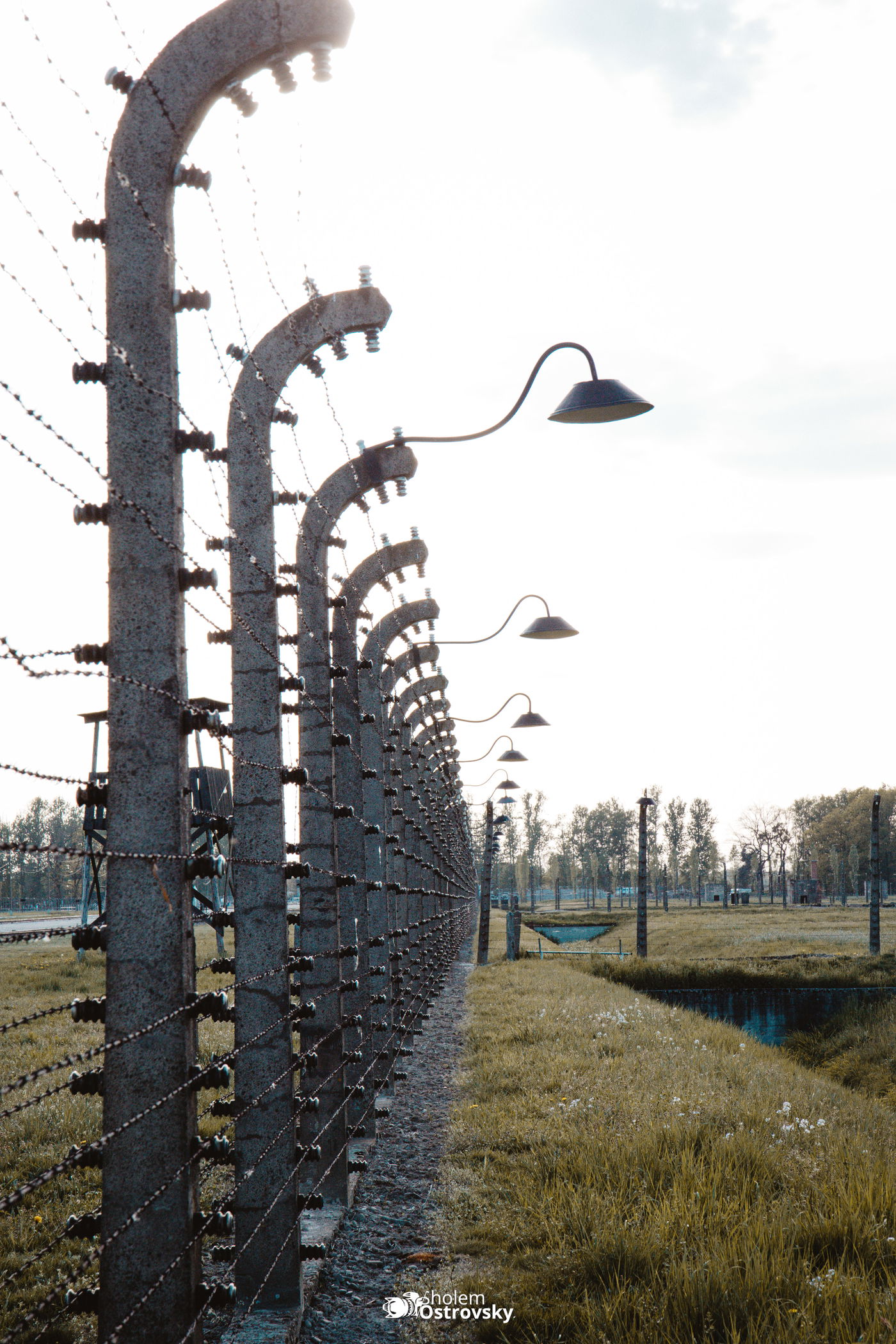 יום השואה באושוויץ