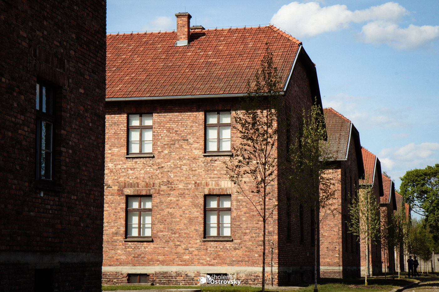 יום השואה באושוויץ