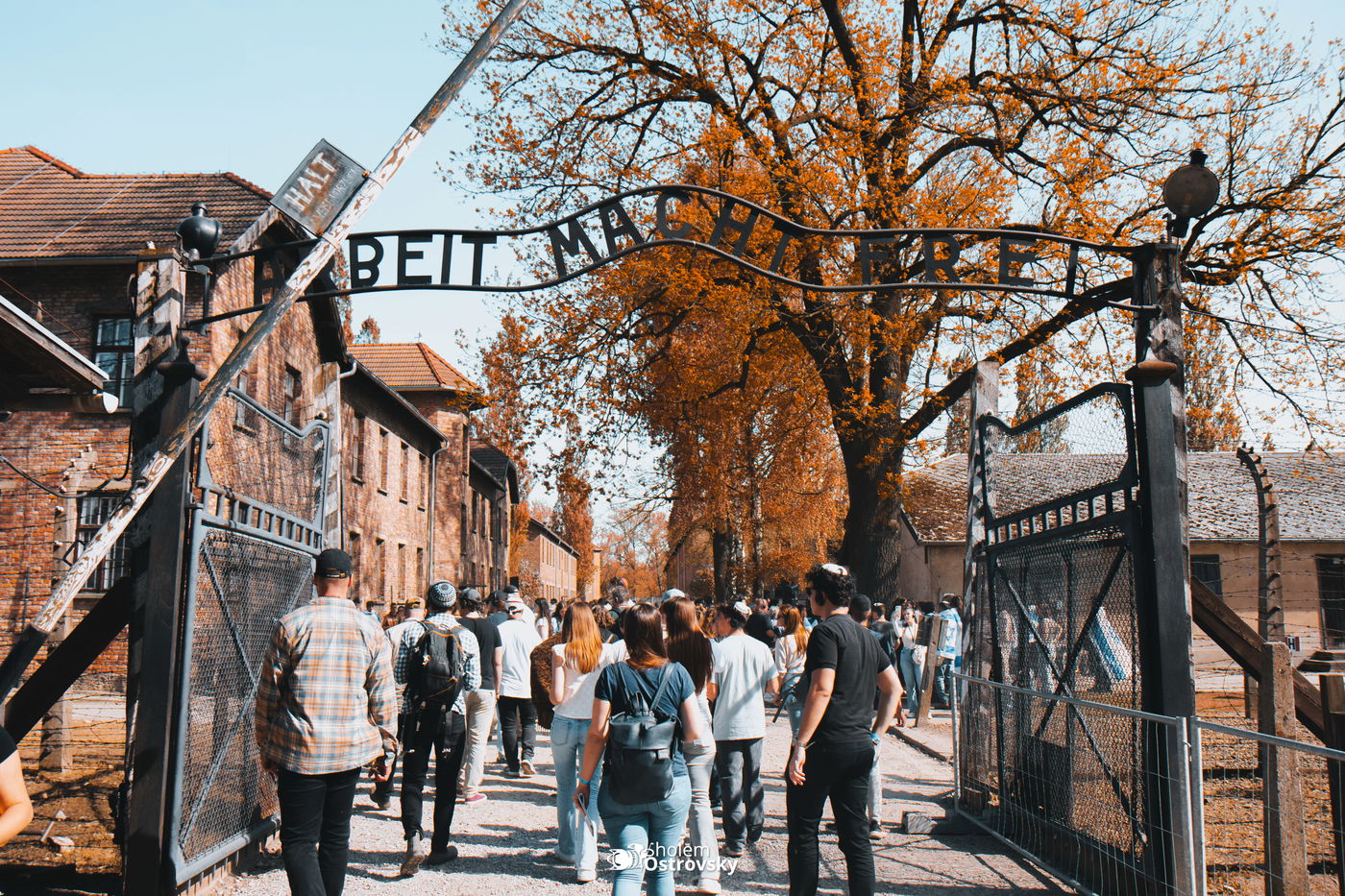 יום השואה באושוויץ