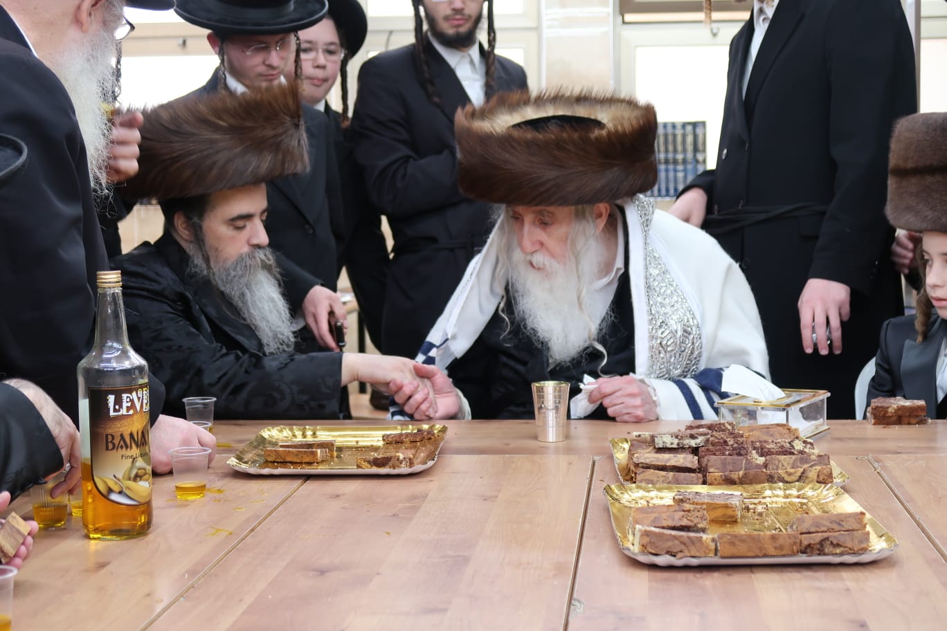שמחת בר מצווה לנכד האדמו"ר ממכנובקא בעלזא
