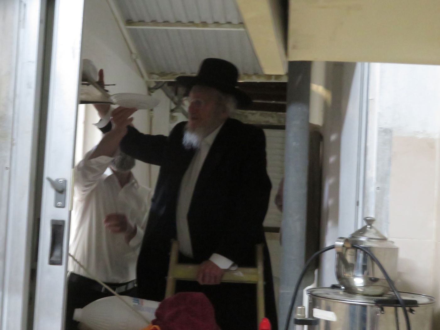 הגאון רבי אריה לוי במצוות שילוח הקן