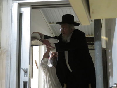 הגאון רבי אריה לוי במצוות שילוח הקן