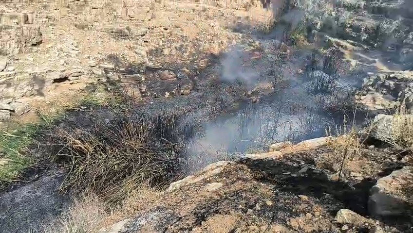 סרטון מתוואי הנחל לאחר השריפה