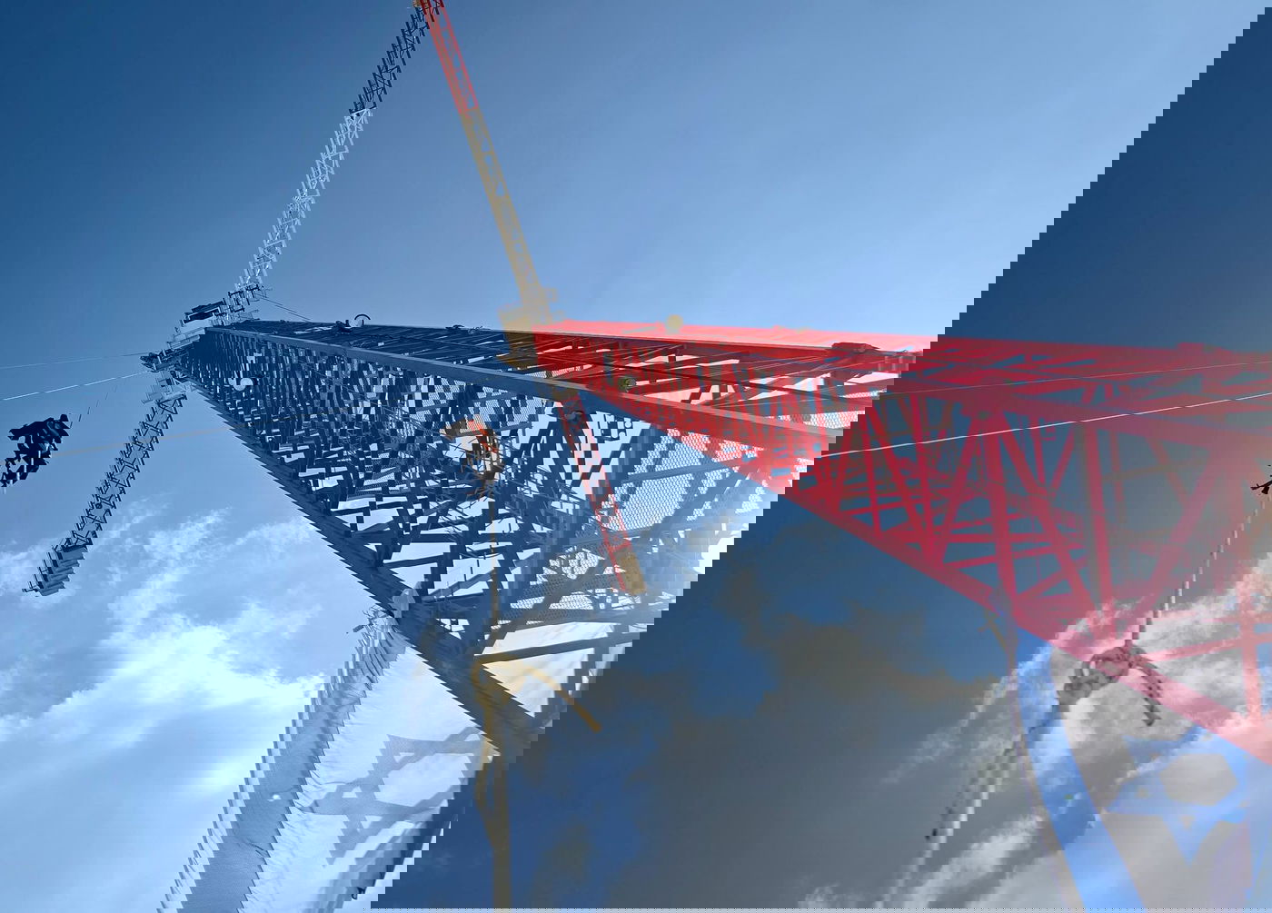 במאמצי החילוץ