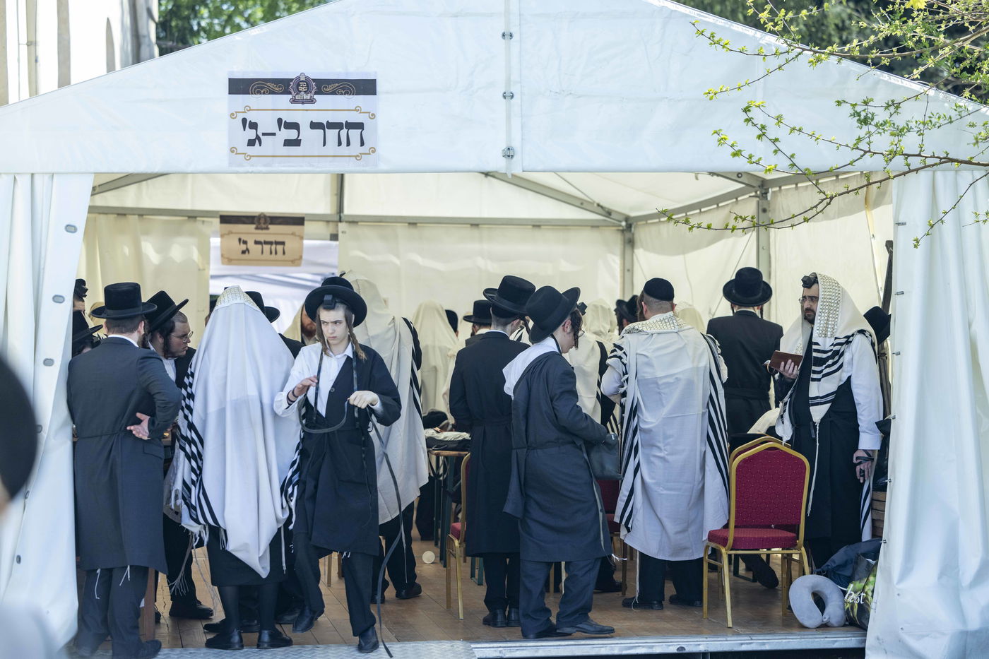 מסע הקודש של האדמו"ר מבאבוב 45 לצאנז - ניסן תשפ"ה