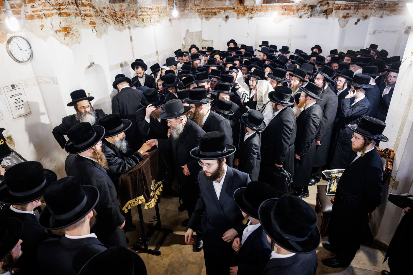 מסע הקודש של האדמו"ר מבאבוב 45 לצאנז - ניסן תשפ"ה