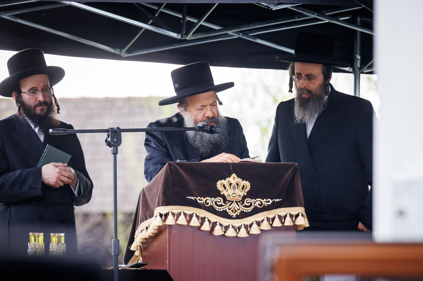 מסע הקודש של האדמו"ר מבאבוב 45 לצאנז - ניסן תשפ"ה