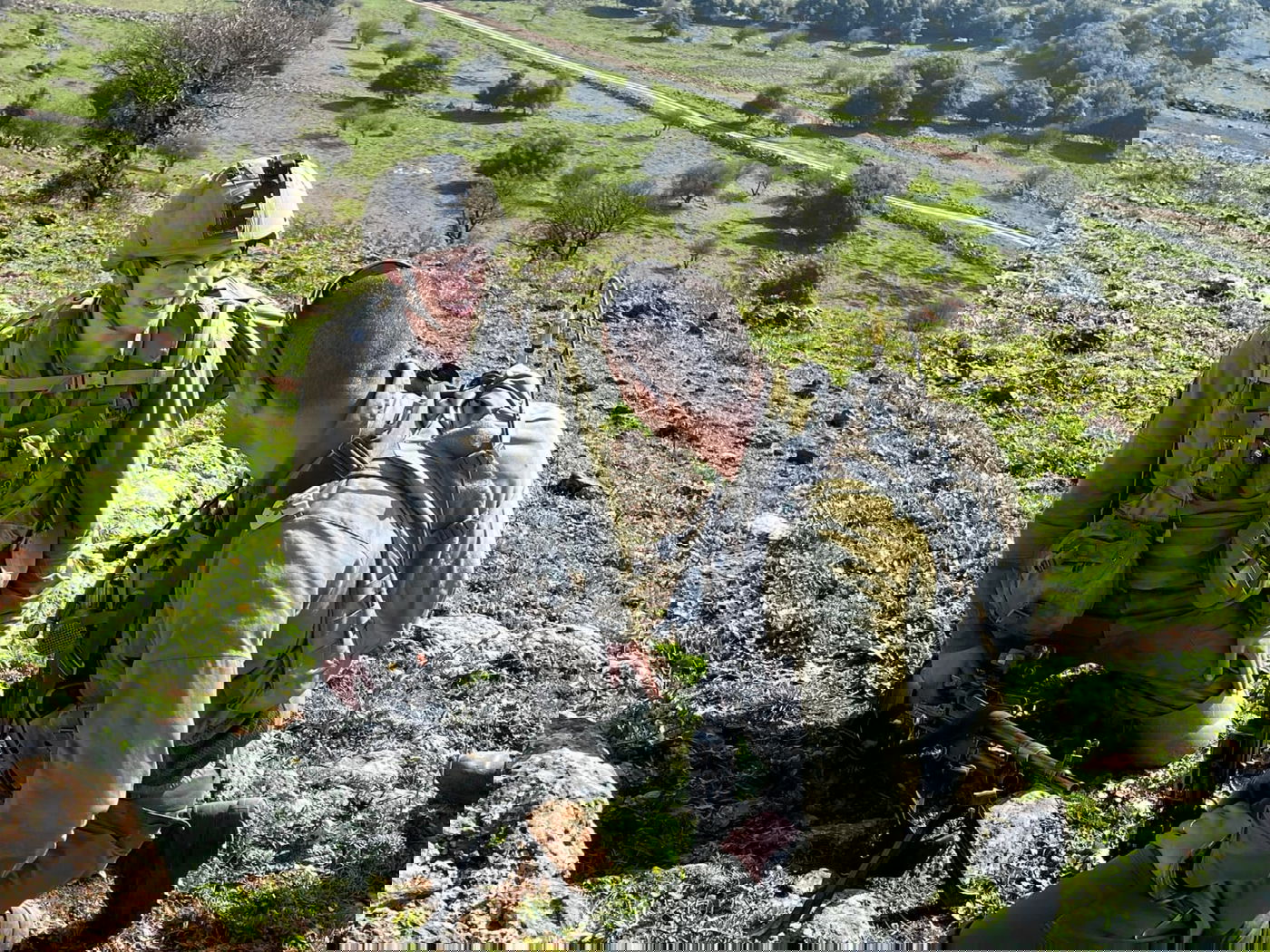 מטלטל: המכתב האחרון של יאיר הי"ד שנפל במלחמה בעזה