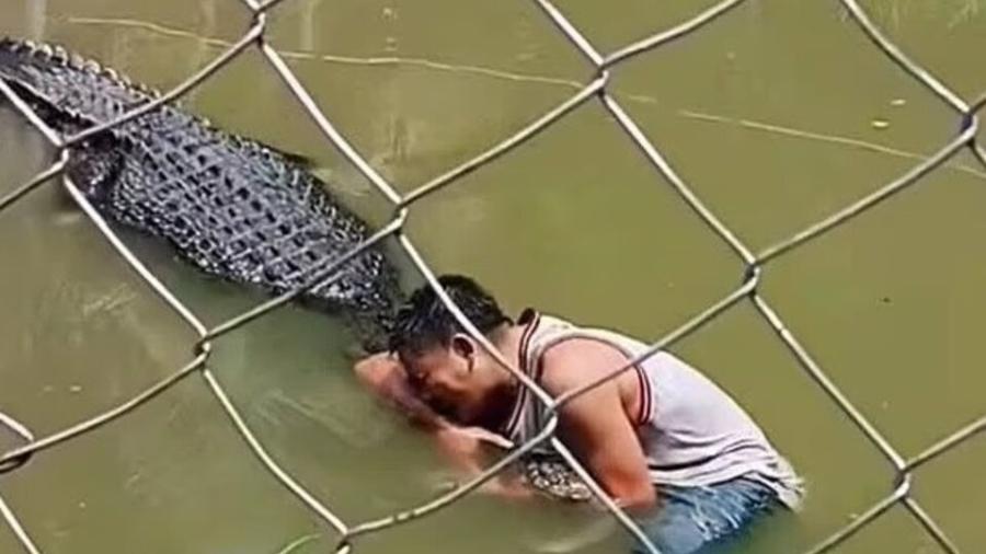 התייר במלתעות התנין