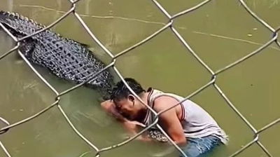 התייר במלתעות התנין