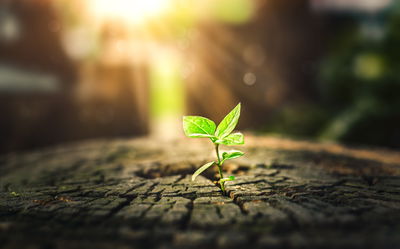 לא תמיד זה קל. התחלה חדשה