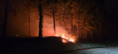 חורשה בוערת 