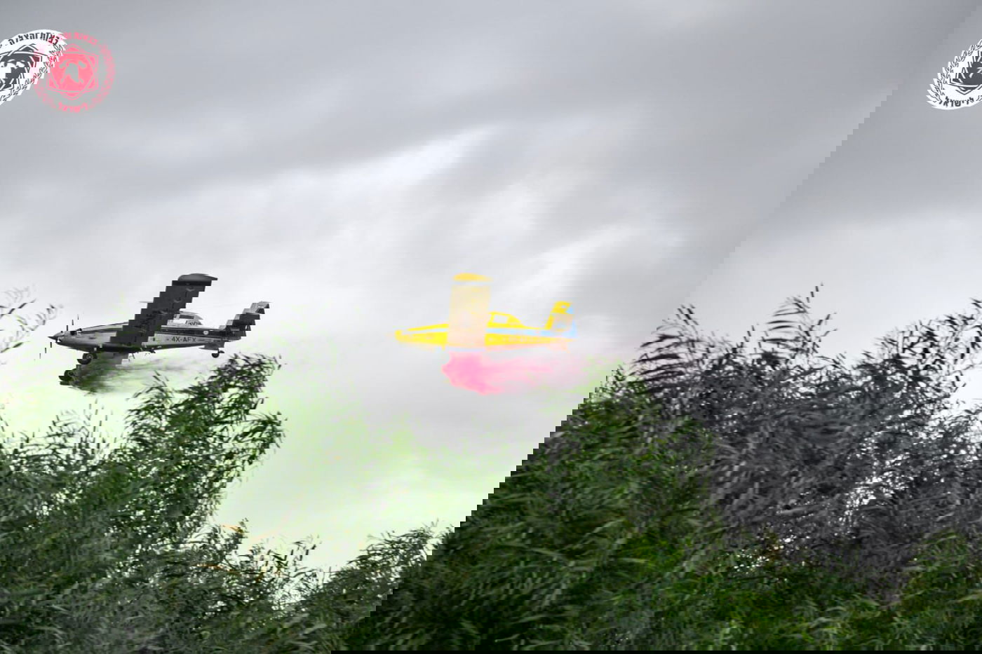 השריפה בהרי ירושלים