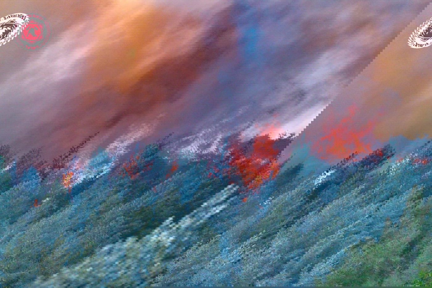 השריפה בהרי ירושלים