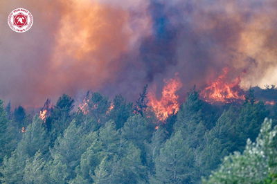 השריפה בהרי ירושלים