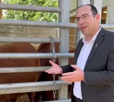 צפו: ח"כ רוטמן מבקר את הפרות האדומות בשילה הקדומה