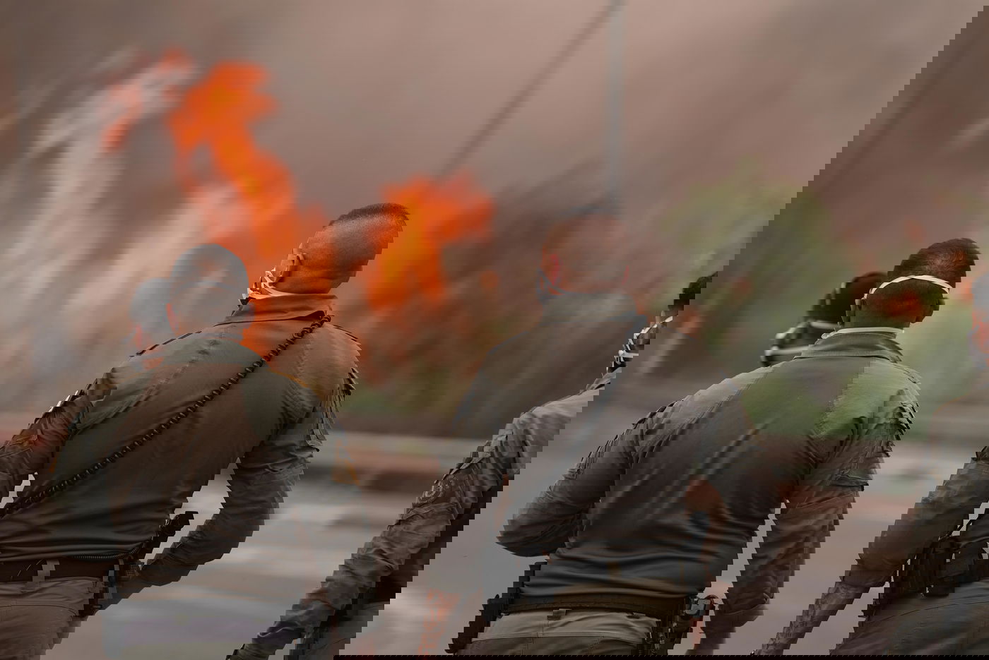 פעילות המשטרה