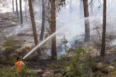 כיבוי השריפות בלטרון