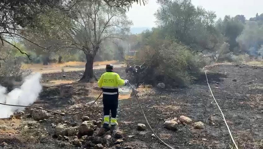 צוותי הכיבוי פועלים בשטח