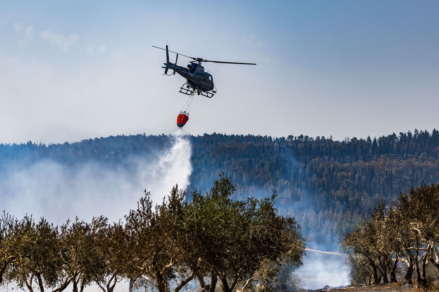 השריפה בהרי ירושלים